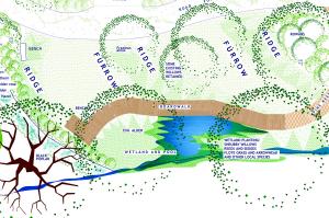 the plans